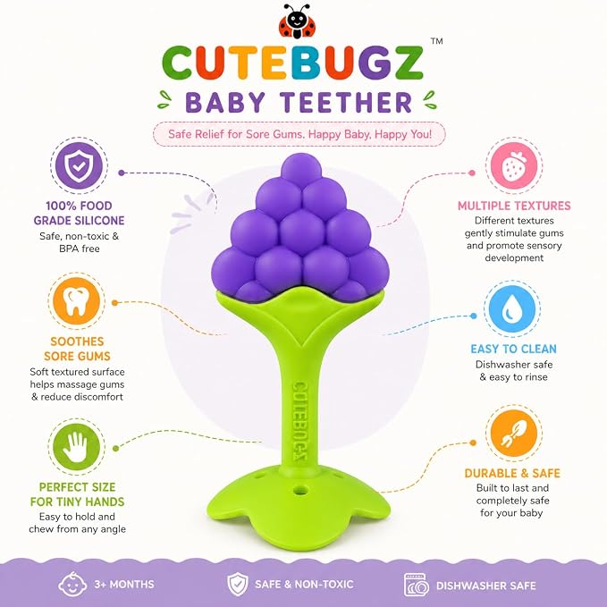 Fruit Shape Silicone Baby Teether for 3-12 Months Babies