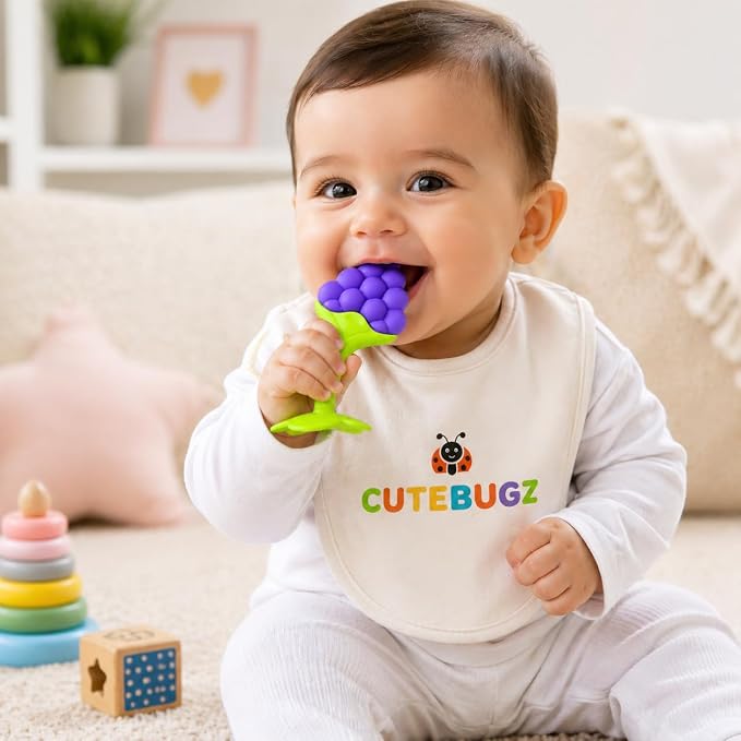 Fruit Shape Silicone Baby Teether for 3-12 Months Babies
